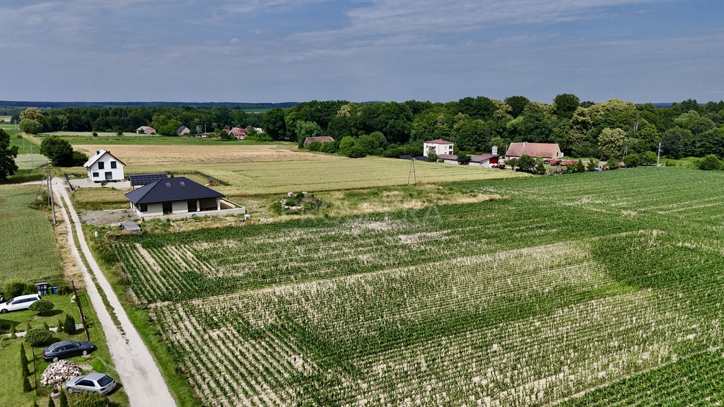 Działka Sprzedaż Siekierowice 2