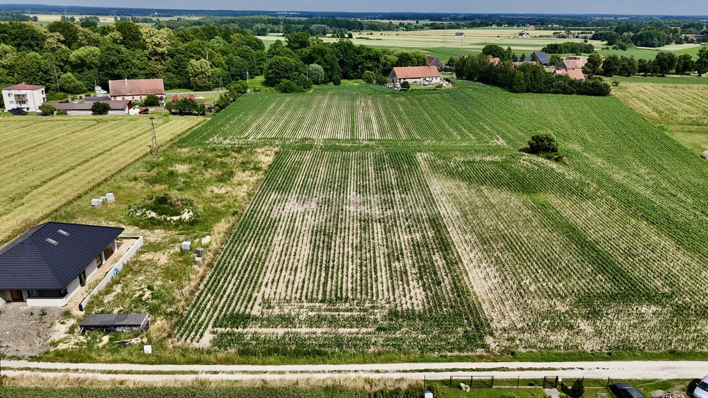 Działka Sprzedaż Siekierowice 4