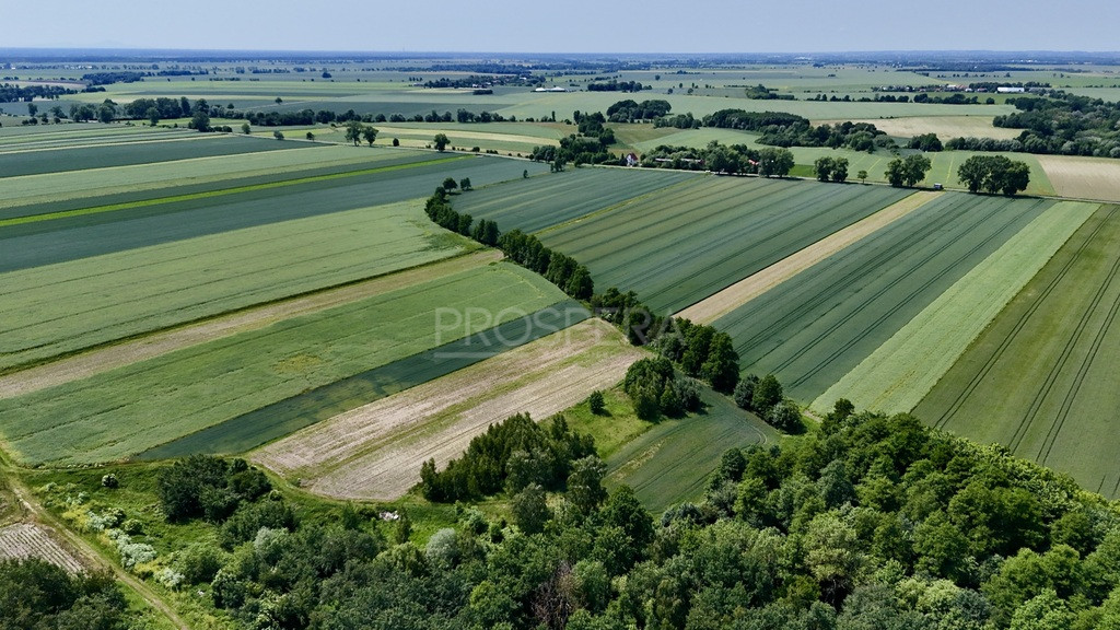 Działka Sprzedaż Wabienice 4