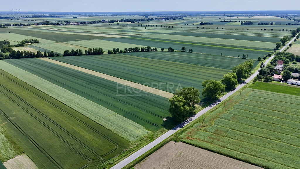 Działka Sprzedaż Wabienice 5