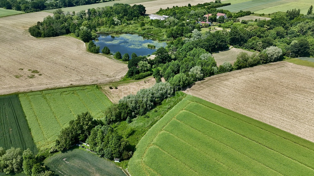 Działka Sprzedaż Wabienice 5