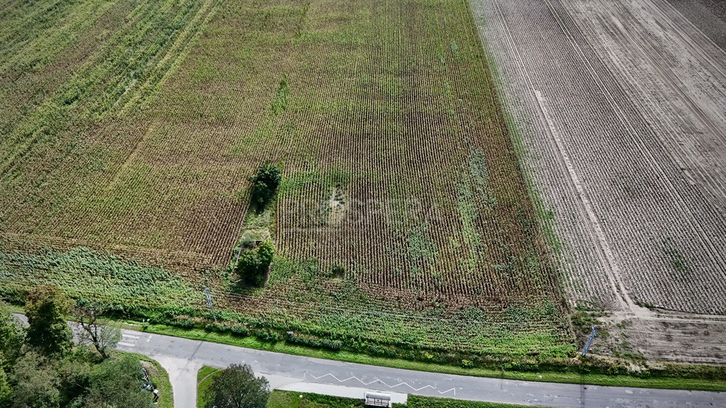 Działka Sprzedaż Nowica