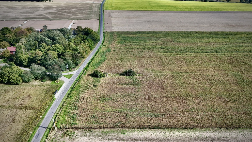 Działka Sprzedaż Nowica 5