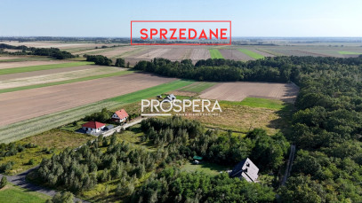 Działka Sprzedaż Poniatowice