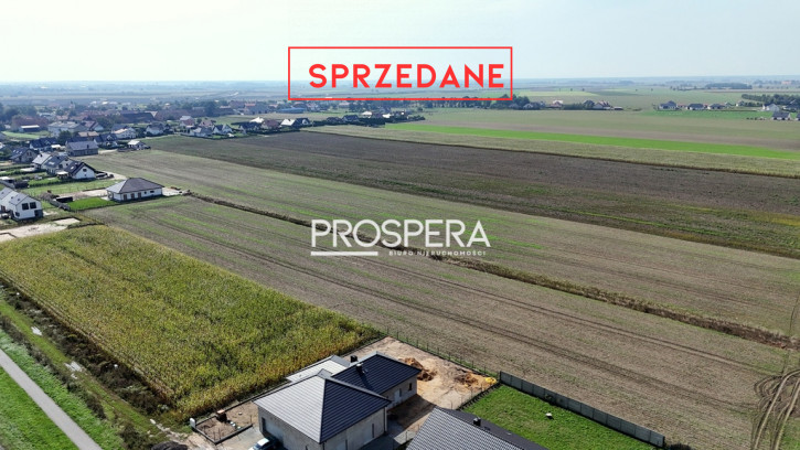 Działka Sprzedaż Dąbrowa 4