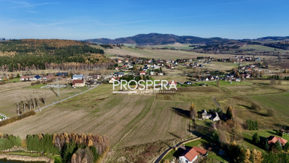 Działka Sprzedaż Borówno