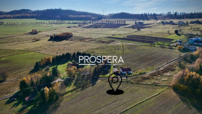 Działka Sprzedaż Borówno