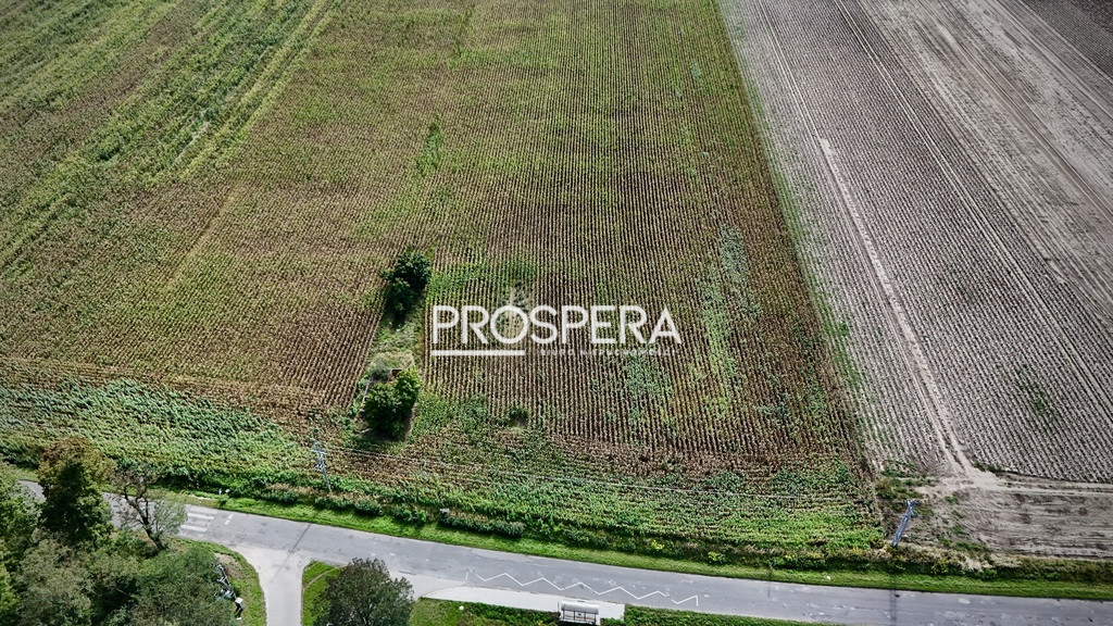 Działka Sprzedaż Nowica