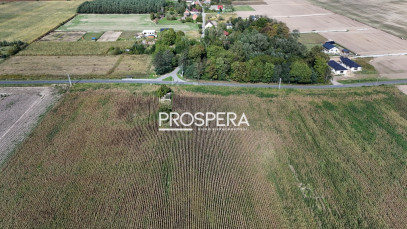 Działka Sprzedaż Nowica