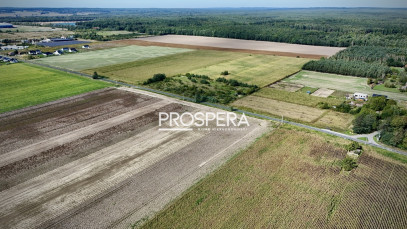 Działka Sprzedaż Nowica