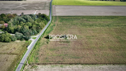 Działka Sprzedaż Nowica