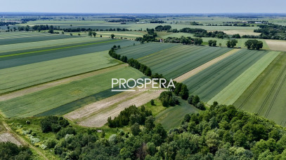 Działka Sprzedaż Wabienice