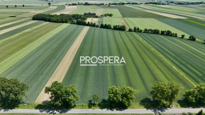 Działka Sprzedaż Wabienice