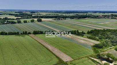 Działka Sprzedaż Wabienice