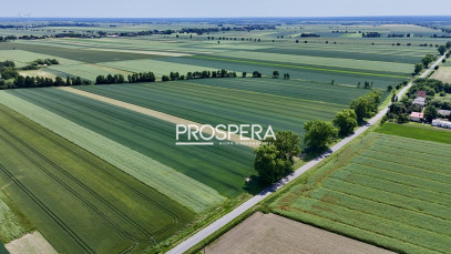 Działka Sprzedaż Wabienice