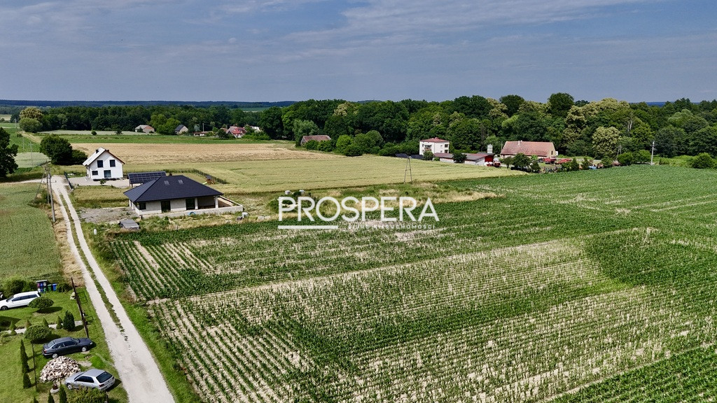 Działka Sprzedaż Siekierowice