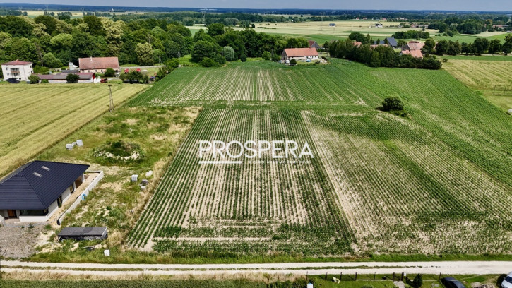 Działka Sprzedaż Siekierowice 4