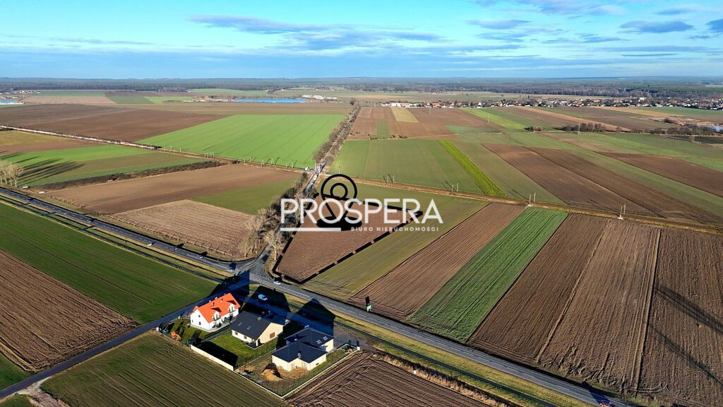 Działka Sprzedaż Dąbrowa