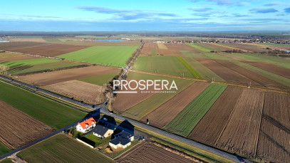 Działka Sprzedaż Dąbrowa