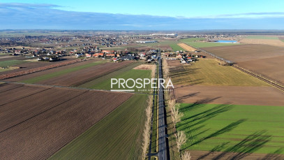 Działka Sprzedaż Dąbrowa