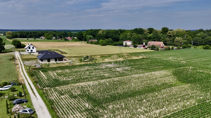 Działka Sprzedaż Siekierowice 2