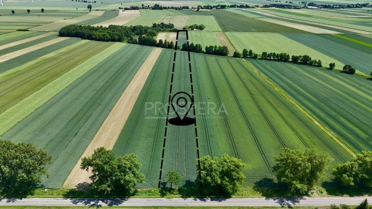 Działka Sprzedaż Wabienice 3