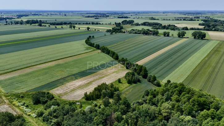 Działka Sprzedaż Wabienice 4