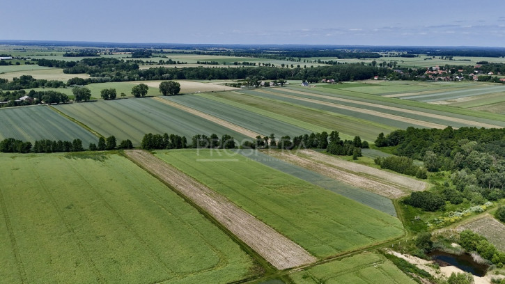 Działka Sprzedaż Wabienice 1