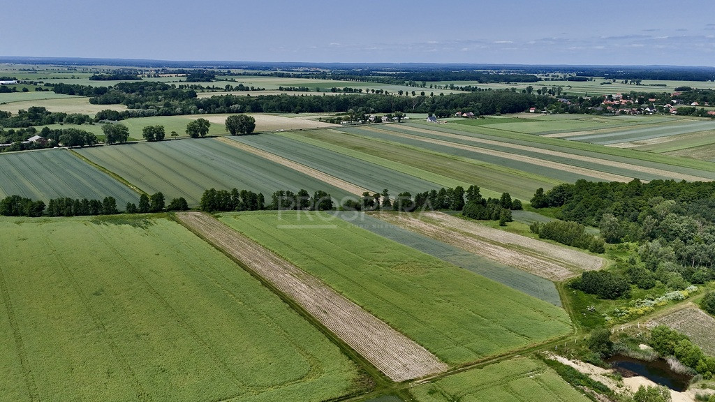 Działka Sprzedaż Wabienice