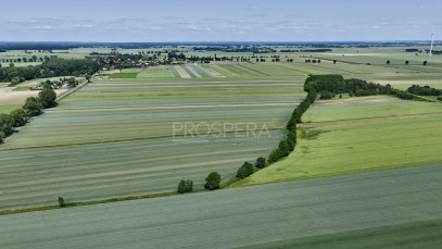 Działka Sprzedaż Wabienice