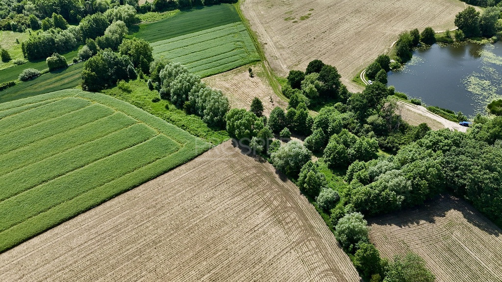 Działka Sprzedaż Wabienice