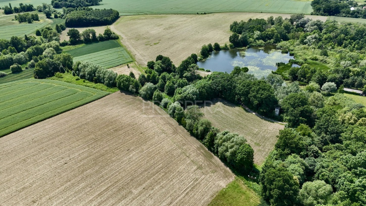 Działka Sprzedaż Wabienice 6