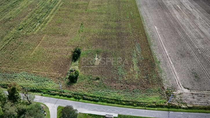 Działka Sprzedaż Nowica 1