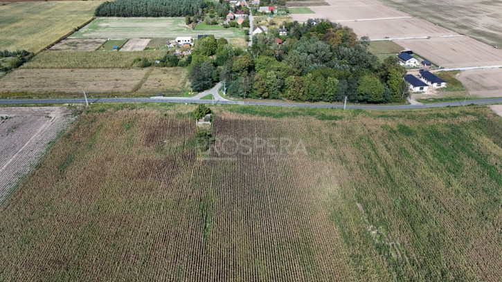 Działka Sprzedaż Nowica 3