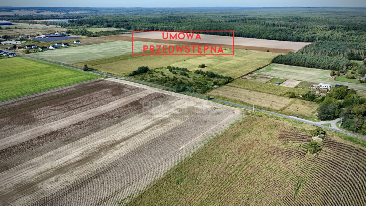 Działka Sprzedaż Nowica 1