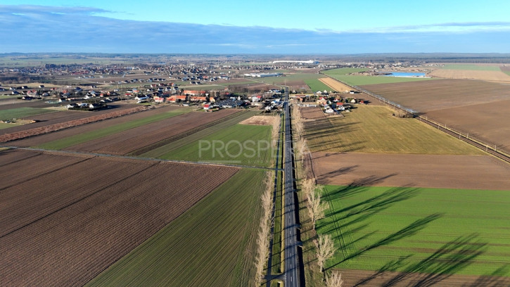 Działka Sprzedaż Dąbrowa 1