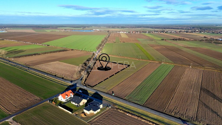 Działka Sprzedaż Dąbrowa 2