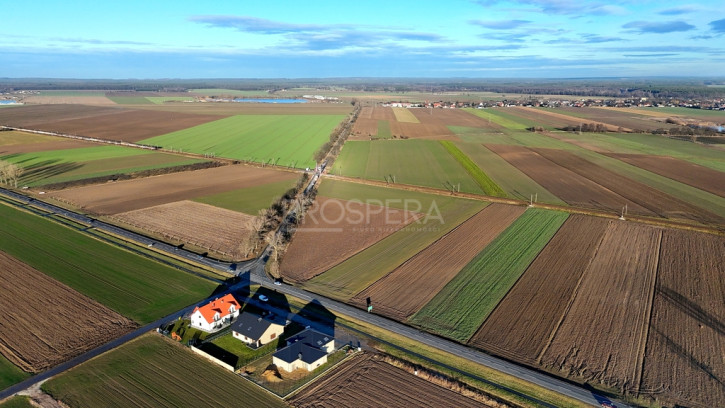 Działka Sprzedaż Dąbrowa 4