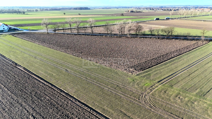 Działka Sprzedaż Dąbrowa 6